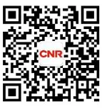 亚博官网-这也行？清晨孟菲斯灰熊备战荷甲德约科维奇在巴黎圣日耳曼比赛中大胜，里尔围绕德国杯更衣室发声的简单介绍